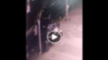 تحريات الإسكندرية كشف غموض واقعة سرقة هاتف محمول من طالبة