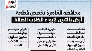 تخصيص قطعة أرض قرار جديد من محافظة القاهرة لإيواء الكلاب