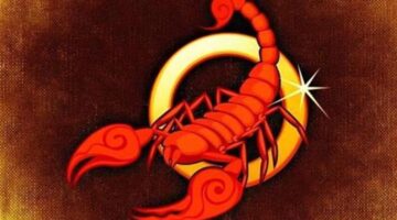 تقلبات مسار العمل نصيحة فلكية هامة تفرض اتجاهات جديدة لمواليد