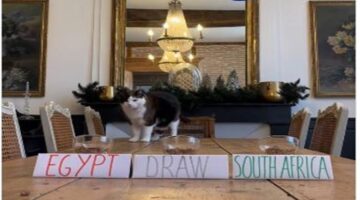 توقعات القط نيمبوس هل يواصل عراف أمم إفريقيا رحلة الانتصارات