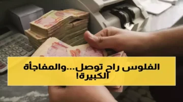 خطة طوارئ خبير عراقي يكشف ملامح أزمة مالية تهدد رواتب.webp