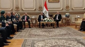 رفض مصري قاطع الوزير شكري يحذر من استغلال الملف الحقوقي