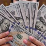 سعر الدولار اليوم السبت 20 ديسمبر 2025 يشهد استقرارًا وسط تقلبات السوق