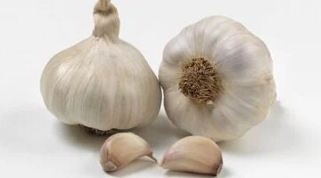 صادرات الثوم المصرية 43 ألف طن تضع المحصول في المركز