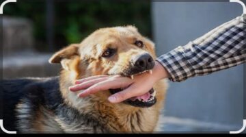 فاجعة في بغداد وفاة شاب عراقي جراء أعراض مفاجئة بعد