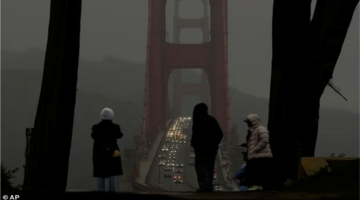 فيضان لوس أنجلوس هل صمدت المدينة أمام العاصفة القياسية في