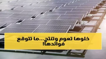 محطة عائمة بالسعودية مشروع طاقة شمسية مبتكر لإنتاج الكهرباء وحماية.webp