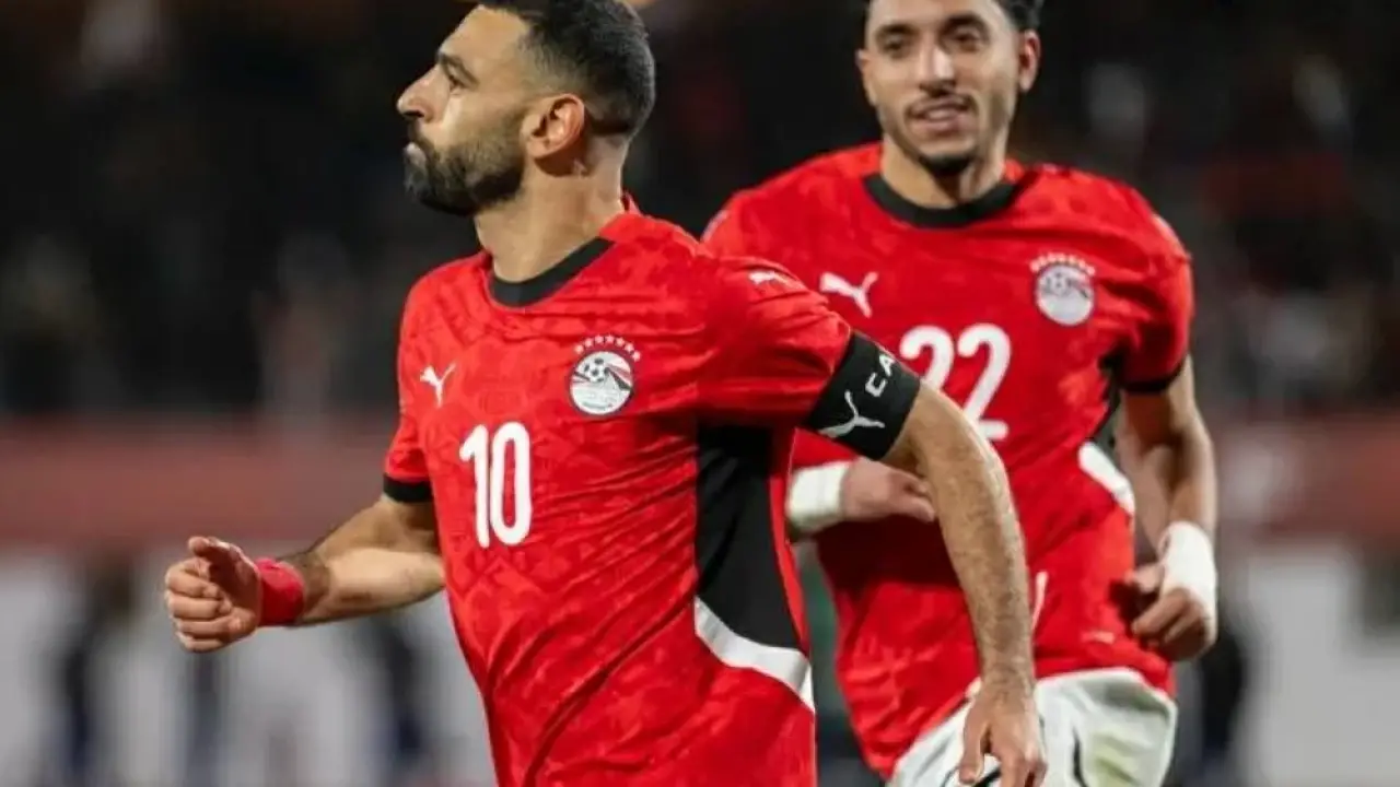 صدام الفراعنة والأفيال.. هوية معلق قمة ربع النهائي تشعل حماس الجماهير المصرية