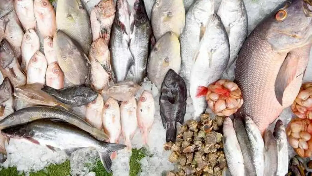 300 جنيه للبربوني.. قفزة مفاجئة في أسعار الأسماك تصدم المتسوقين بسوق العبور اليوم