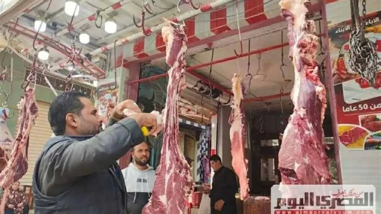 أسعار اللحوم في مطروح.. قفزة مفاجئة في الكيلو تصدم الأهالي بداية 2026
