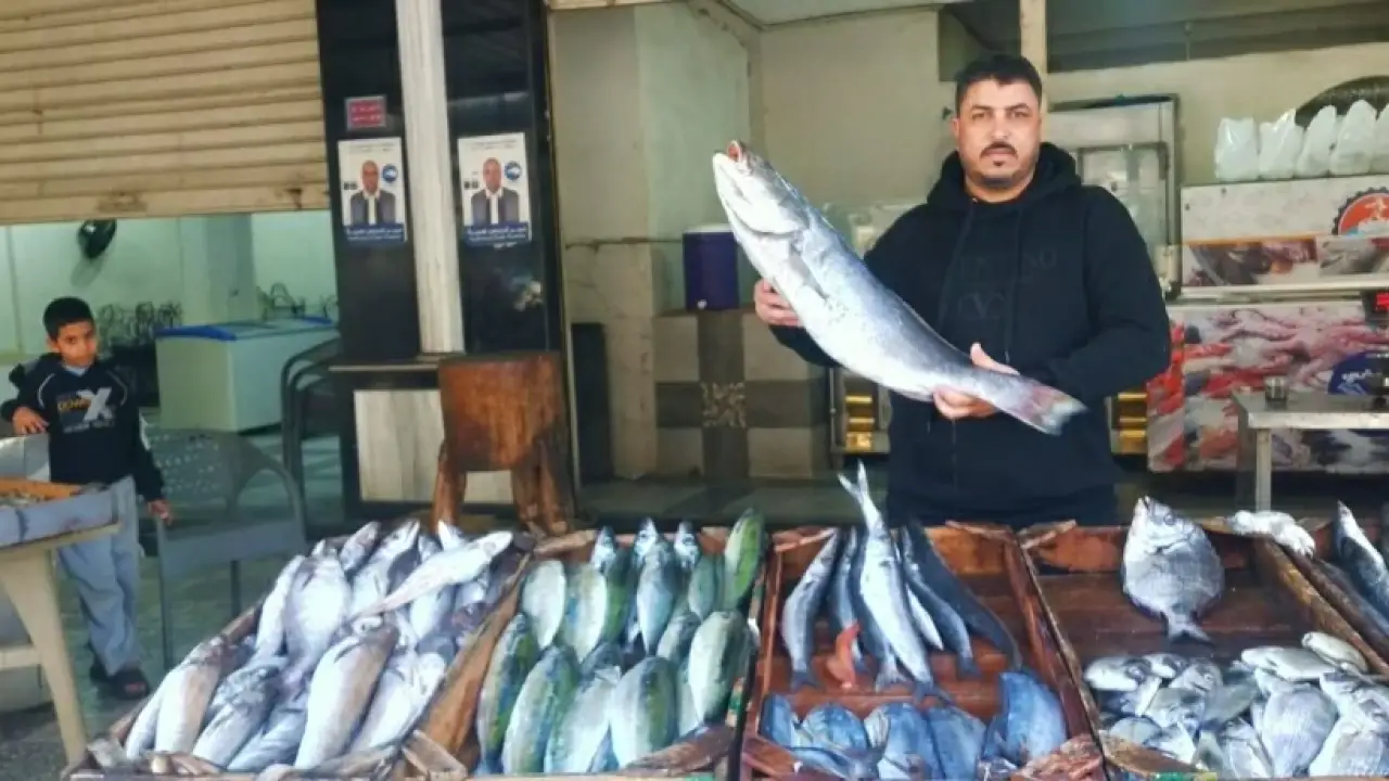 أسواق الإسكندرية تصدم الزبائن.. أرقام غير متوقعة لأسعار الأسماك الشعبية في يناير 2026