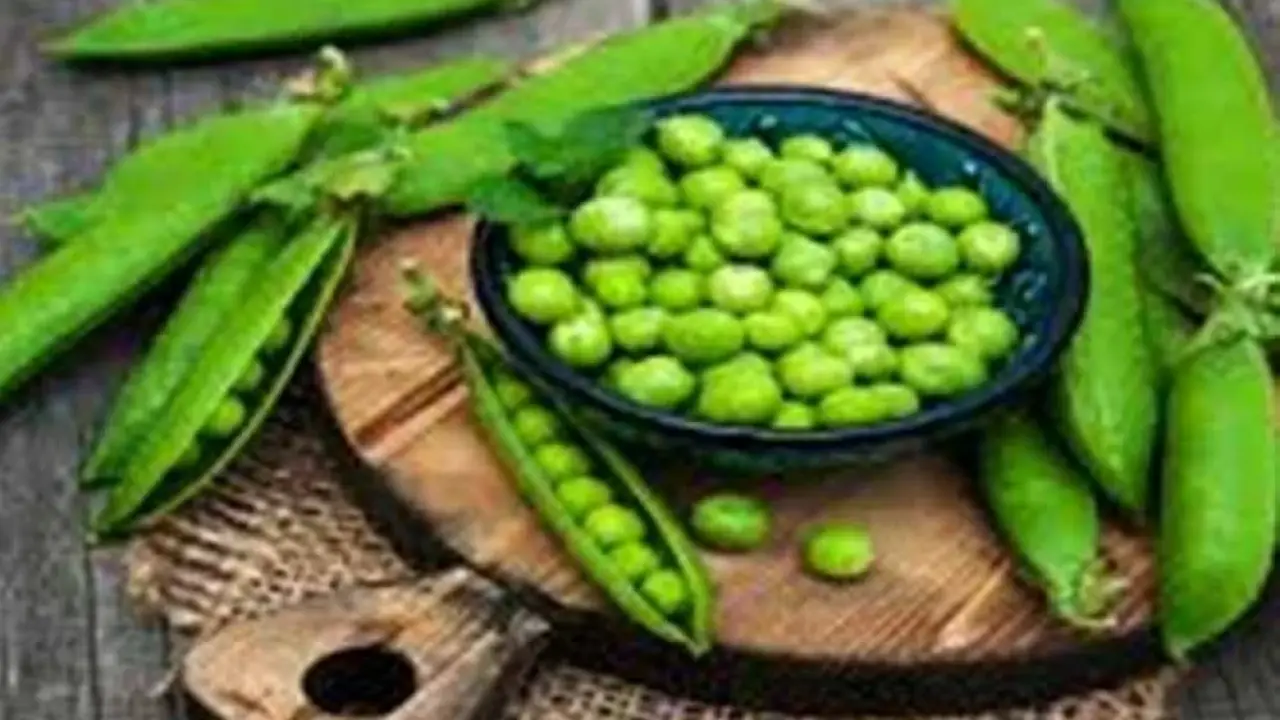 أطباق البسلة المجمدة.. تحذير طبي يحسم الجدل حول مخاطر خفية تهدد سلامة أسرتك