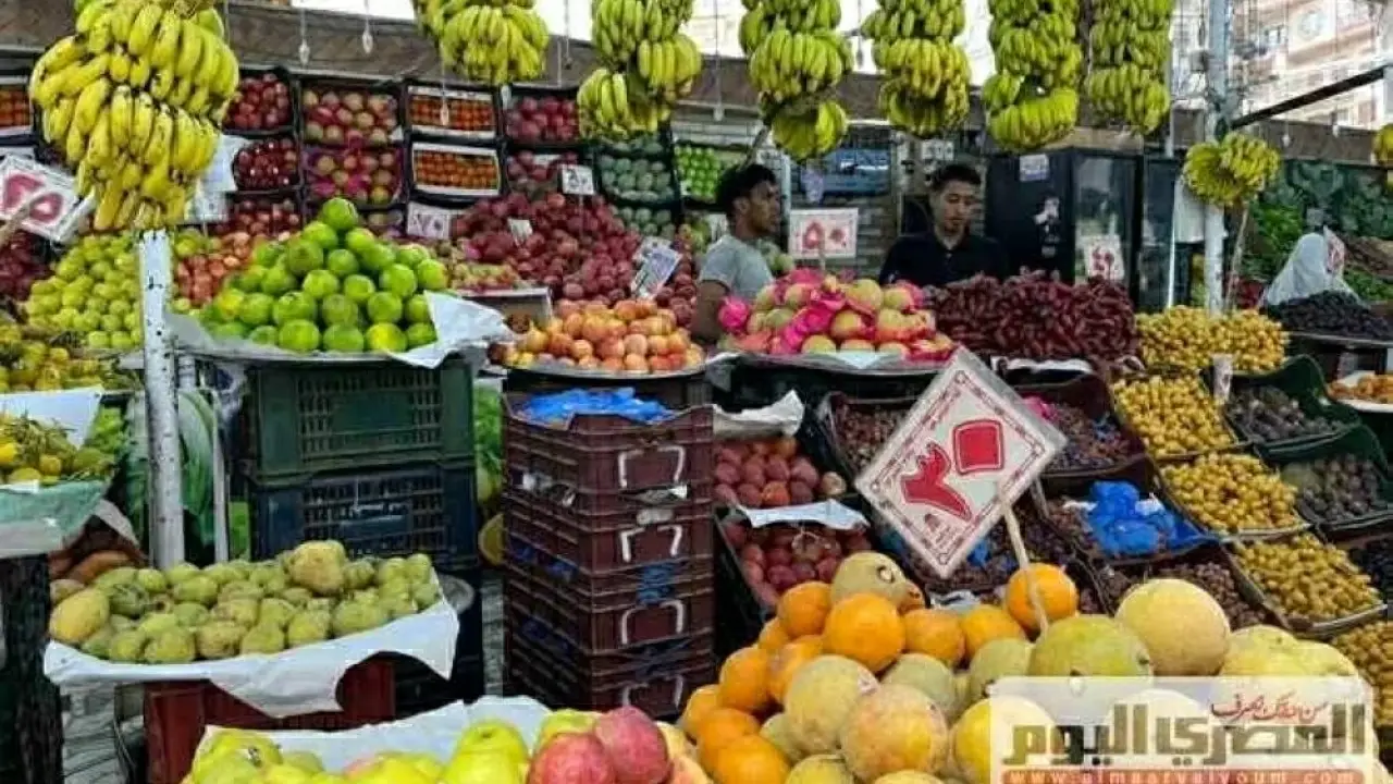 انهيار مفاجئ.. أسعار المانجو والموز في الأسواق تصدم المتسوقين صباح الأحد بمنطقة الدلتا