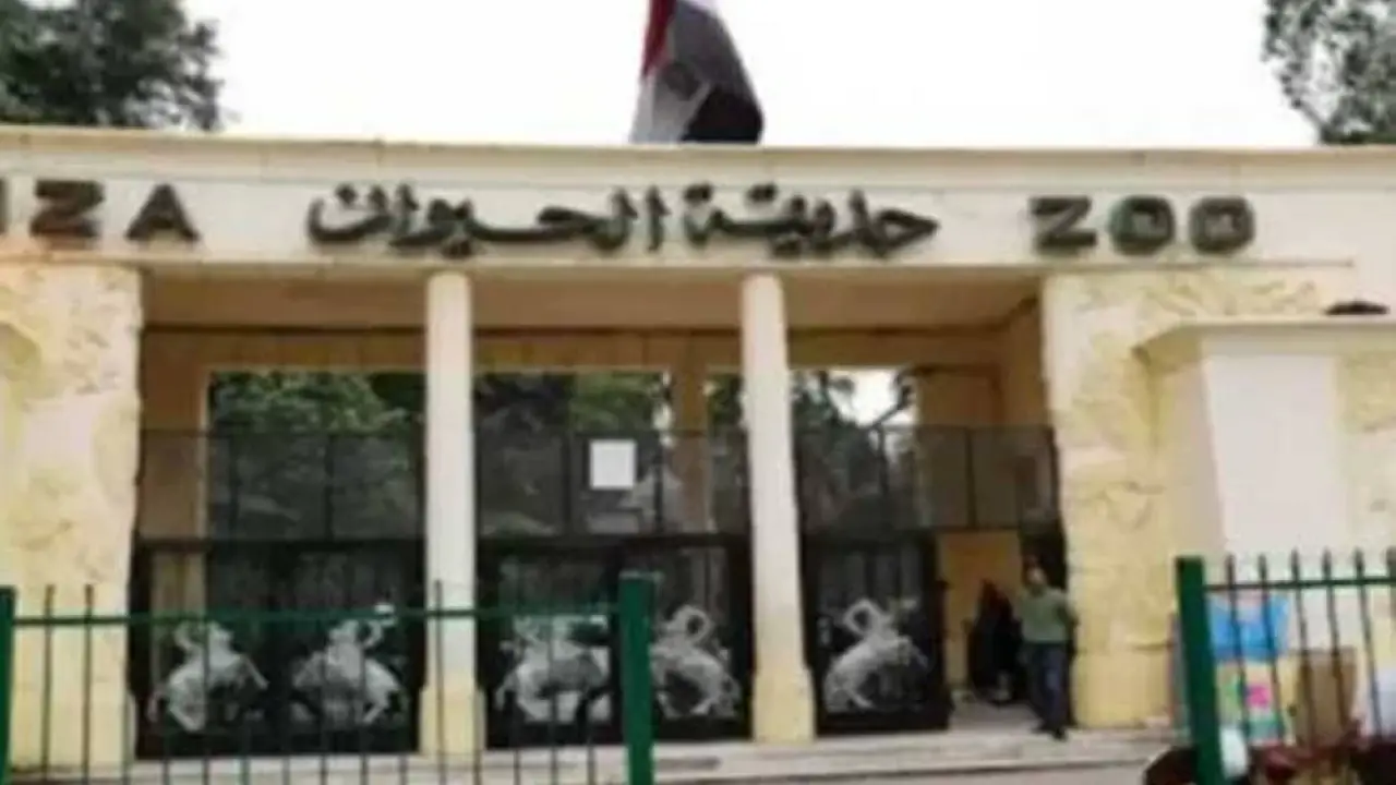 حديقة حيوان الجيزة.. موعد الافتتاح المرتقب يحسم مصير الربط التاريخي مع الأورمان