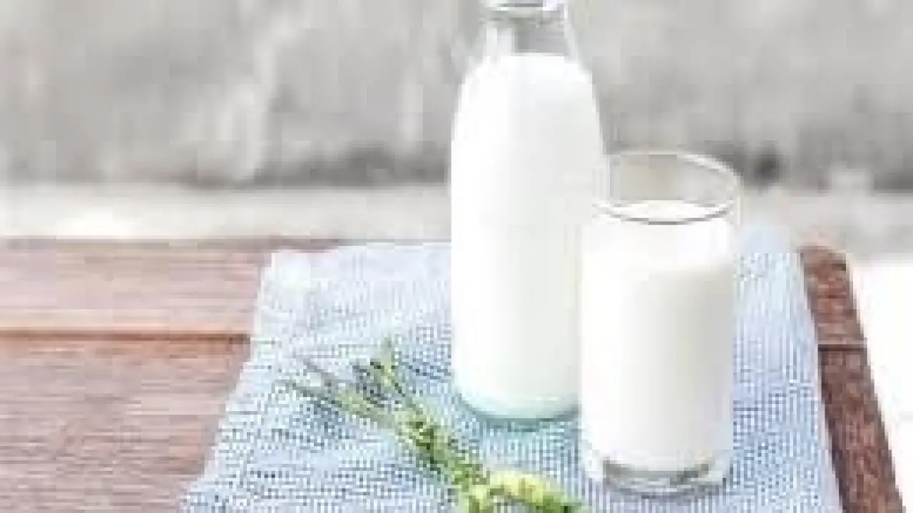 سم قاتل أم ثروة غذائية.. فروق صادمة بين الحليب الطازج والمعلب تحسمها طبيبة مختصة