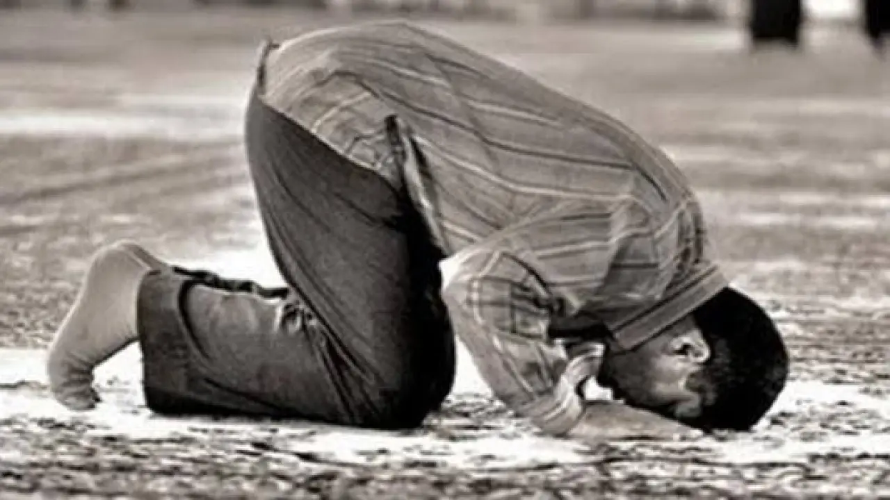 صلاة باطلة أم صحيحة.. الإفتاء تحسم مصير المصلين بعد نسيان سجود السهو الحاسم