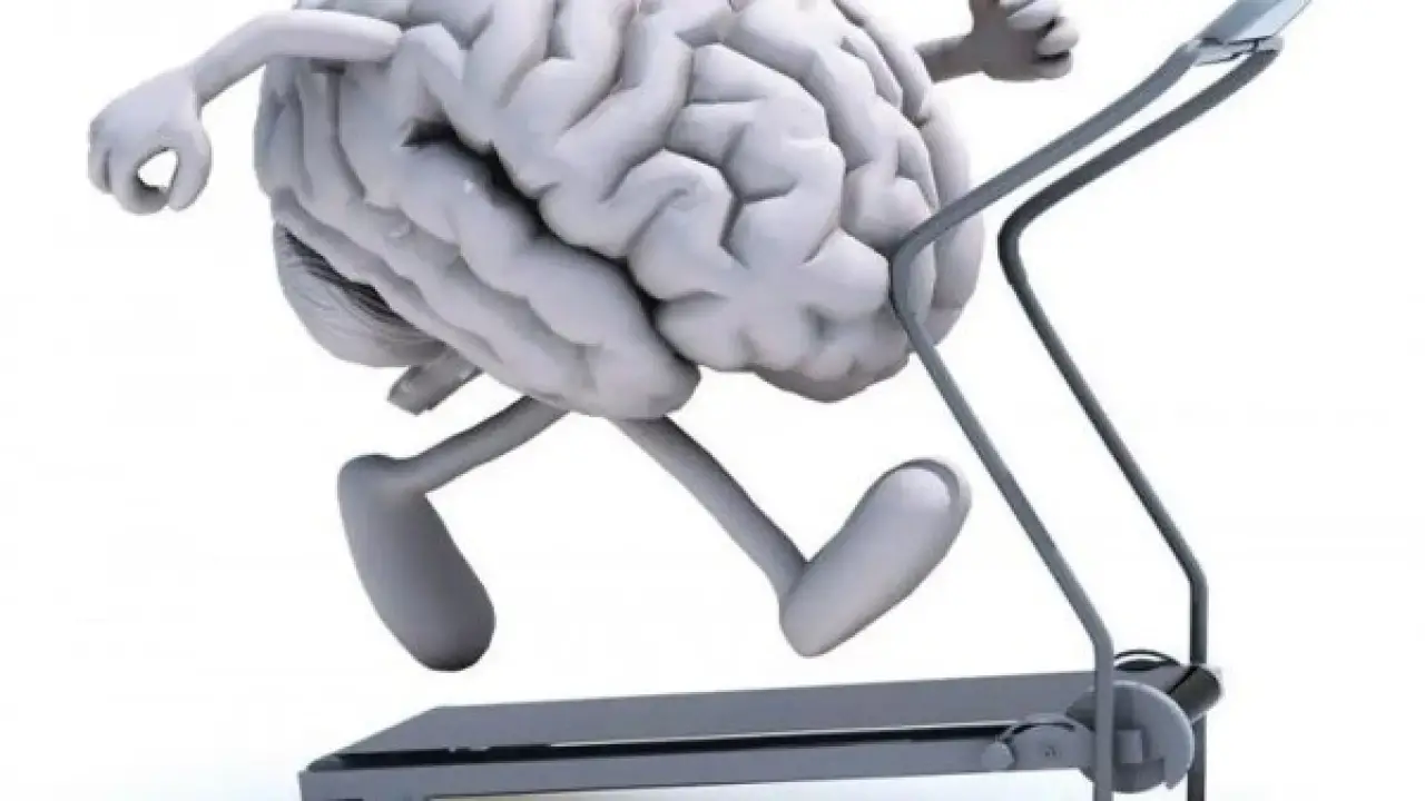 ذاكرة فولاذية.. سر علمي ينهي كابوس النسيان ويضاعف قدرات التركيز في دقائق