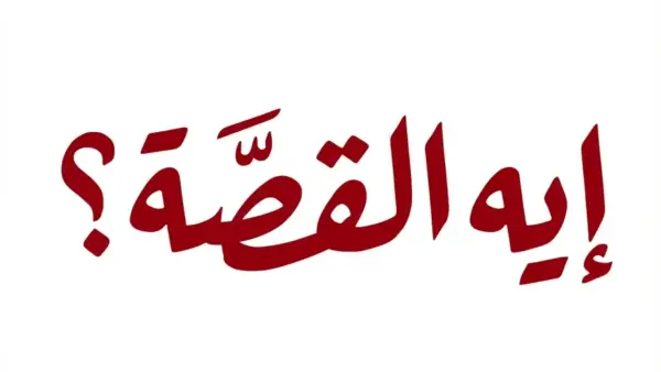 رصاصة "عميل الهجرة".. فوضى عارمة في مينيسوتا بعد مأساة تنهي حياة امرأة