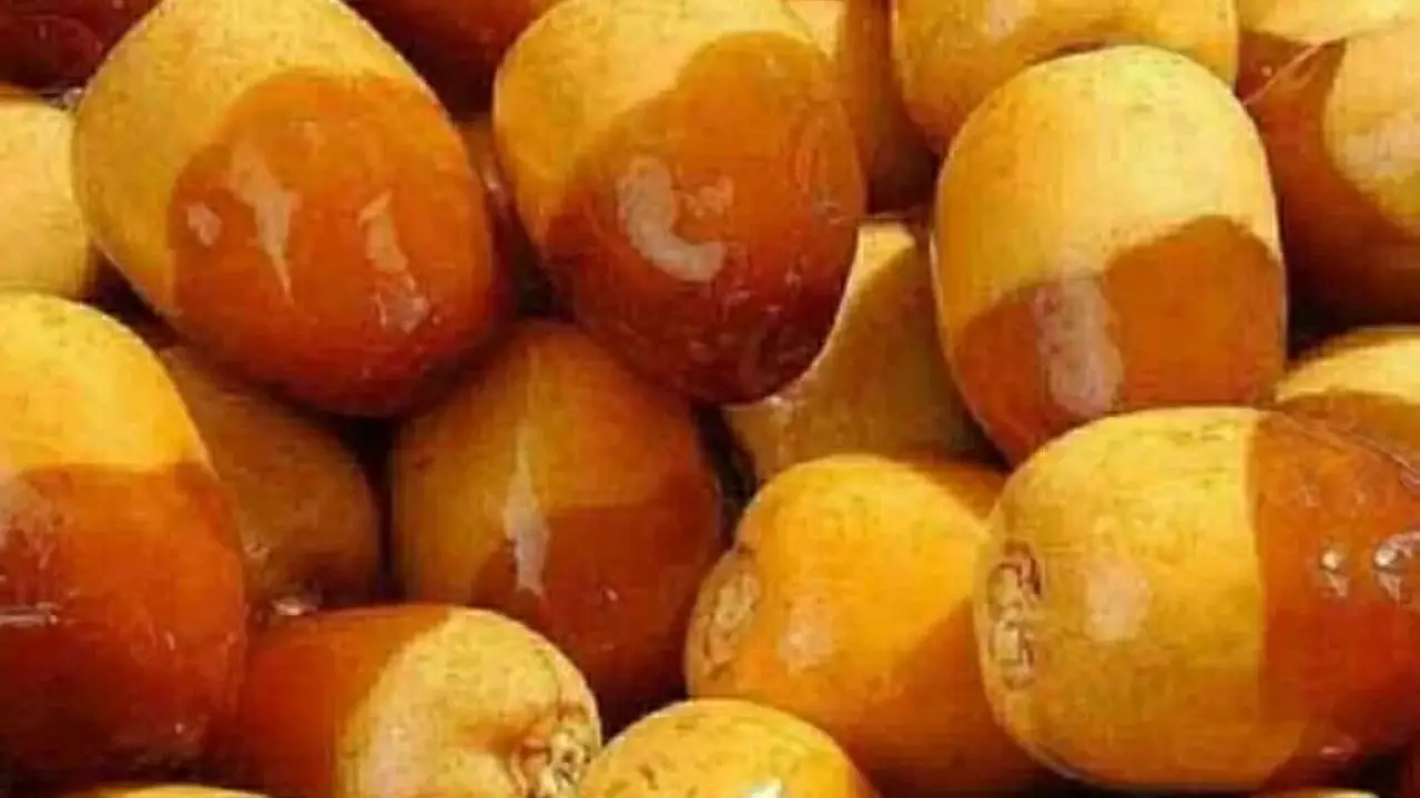 60 جنيهاً للكيلو.. أسعار البلح في سيوة ومطروح تصدم التجار مع بداية 2026