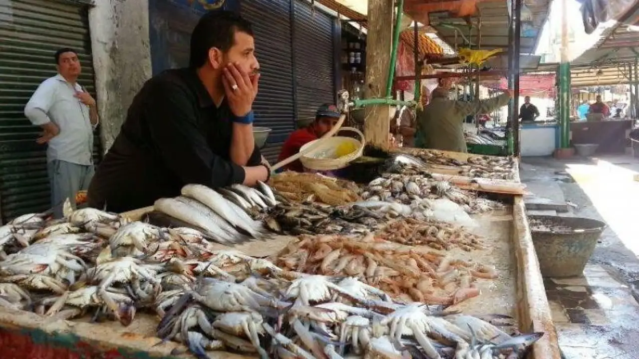 أسعار الأسماك اليوم.. مفاجأة غير متوقعة تصدم المستهلكين في أسواق بداية عام 2026