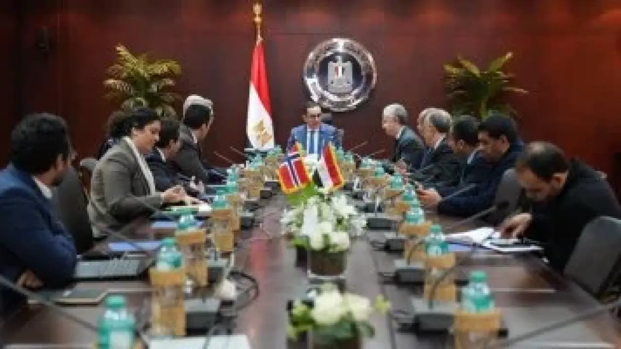 استثمارات نرويجية ضخمة.. تحرك مصري حاسم يمهد الطريق لمشروع يغير خارطة الطاقة المستدامة