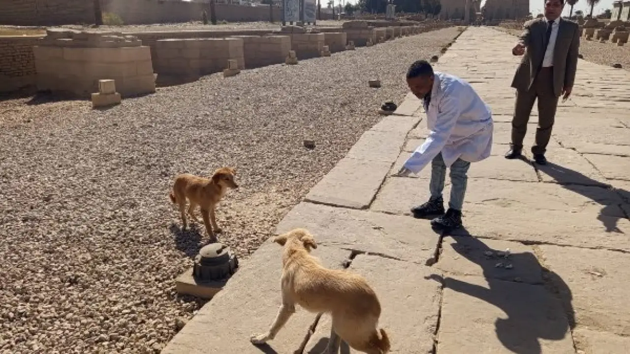 المواقع الأثرية تتحصن.. حملة مكثفة تطهر 2700 منطقة وتثير تساؤلات الملايين بمصر