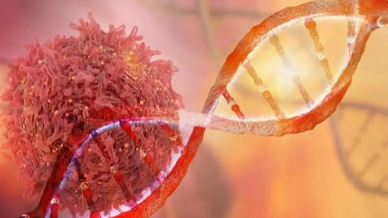 تحذير طبي صارم.. فئات محددة تدخل دائرة الخطر والإصابة بالسرطان مطلع 2026