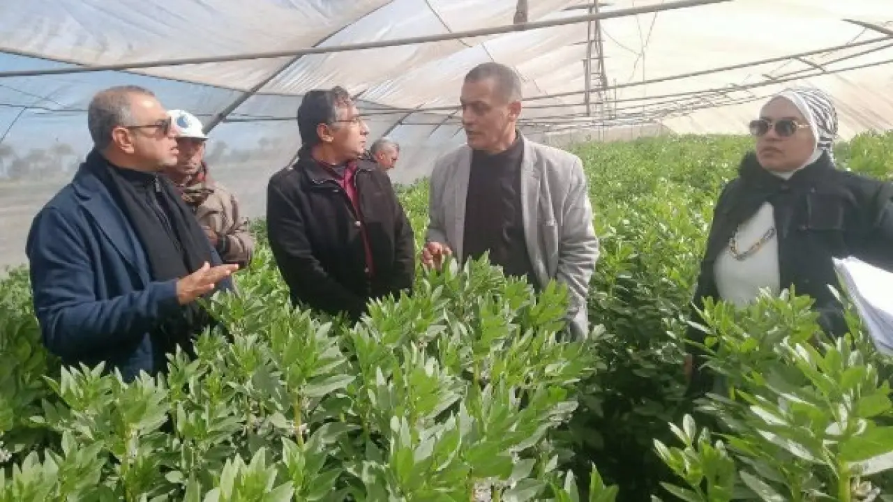 مزارعو الغربية.. تحرك مفاجئ من وزارة الزراعة بشأن مصير المحاصيل الشتوية هذا الموسم