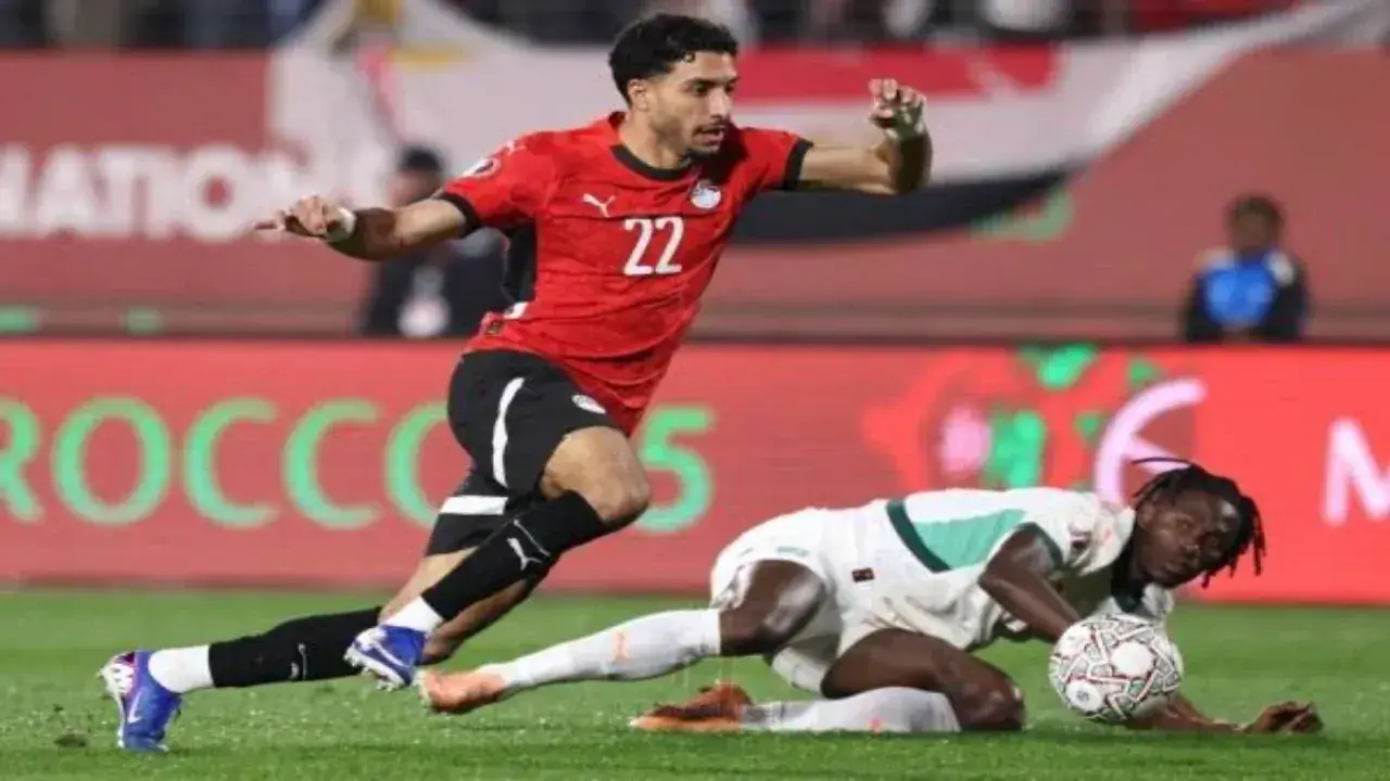 موقعة السنغال.. ثلاث قنوات مجانية تفاجئ ملايين المصريين قبل انطلاق ملحمة نصف النهائي
