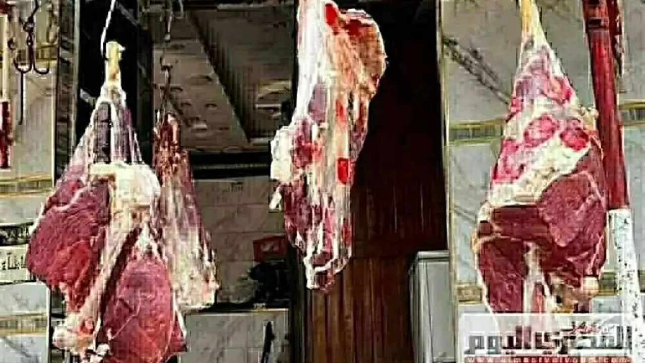 أسواق مطروح تشتعل.. تسعيرة اللحوم الجديدة تصدم الأهالي قبل حلول شهر رمضان
