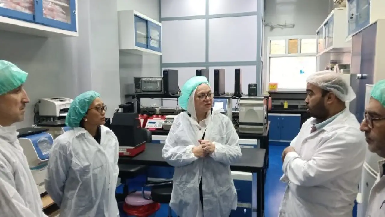 22 منشأة مصرية.. قرار دولي يفتح آفاقاً جديدة لصناعة الدواجن في 2026