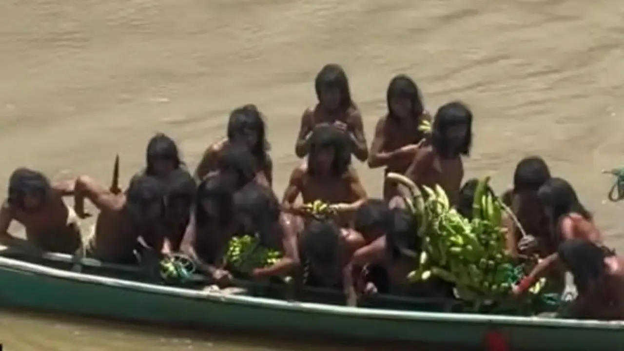 أعماق الأمازون.. لقطات مسربة لقبيلة معزولة تظهر للعلن وتصدم علماء الأنثروبولوجيا