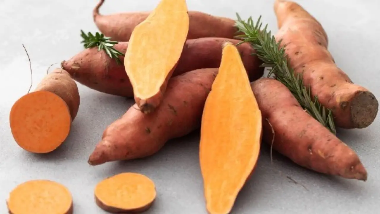 تأثير غير متوقع.. ما يفعله تناول البطاطا بجسمك يثير دهشة الأطباء في 2026