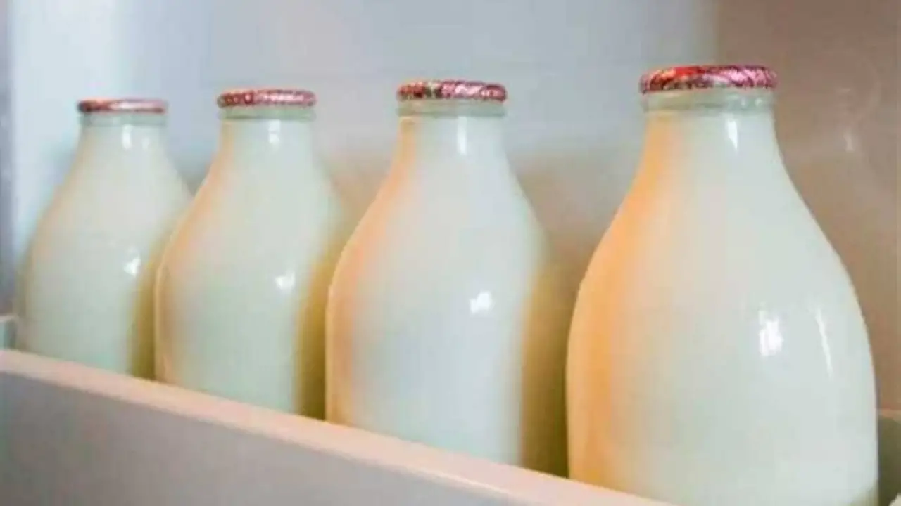 صدمة لعشاق الجاموسي.. خبراء يحددون أفضل أنواع الحليب لصحة الجسم في 2026