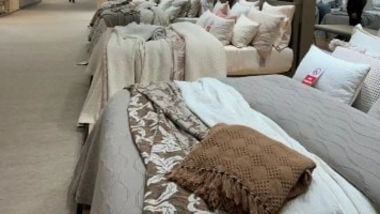 صفقات مليارية.. نتائج مشاركة الشركات المصرية في معرض فرانكفورت تذهل الأسواق الأوروبية