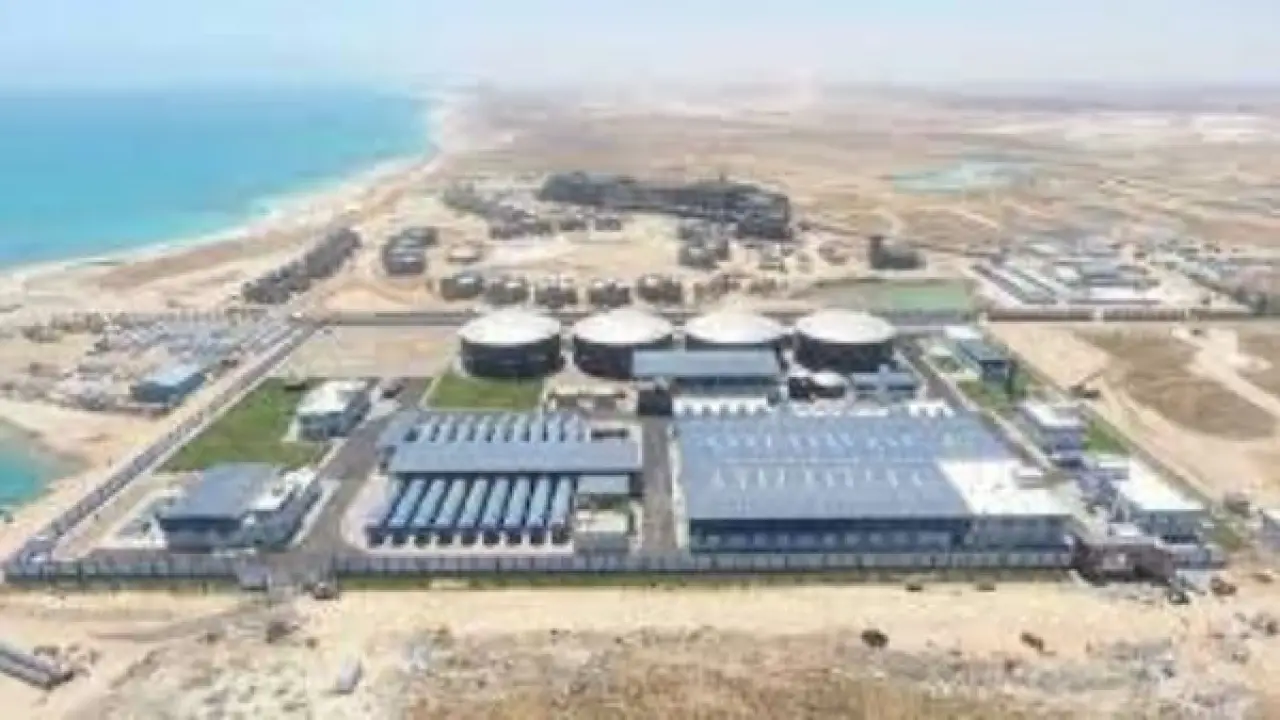 300 مليار جنيه.. استثمارات ضخمة تحول ميناء السخنة لمركز تجارة عالمي يربط القارات