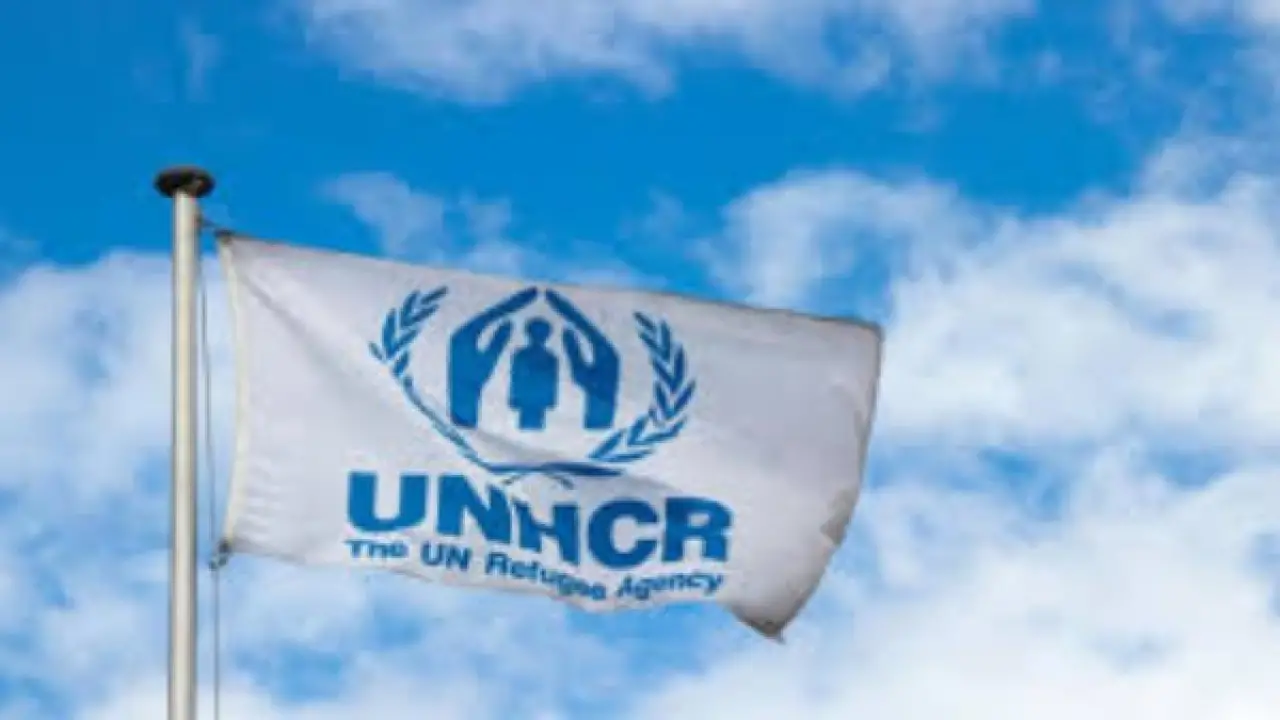 ملايين الجوعى يترقبون.. قرار أممي بتقليص المساعدات ينذر بكارثة إنسانية وشيكة في أفريقيا