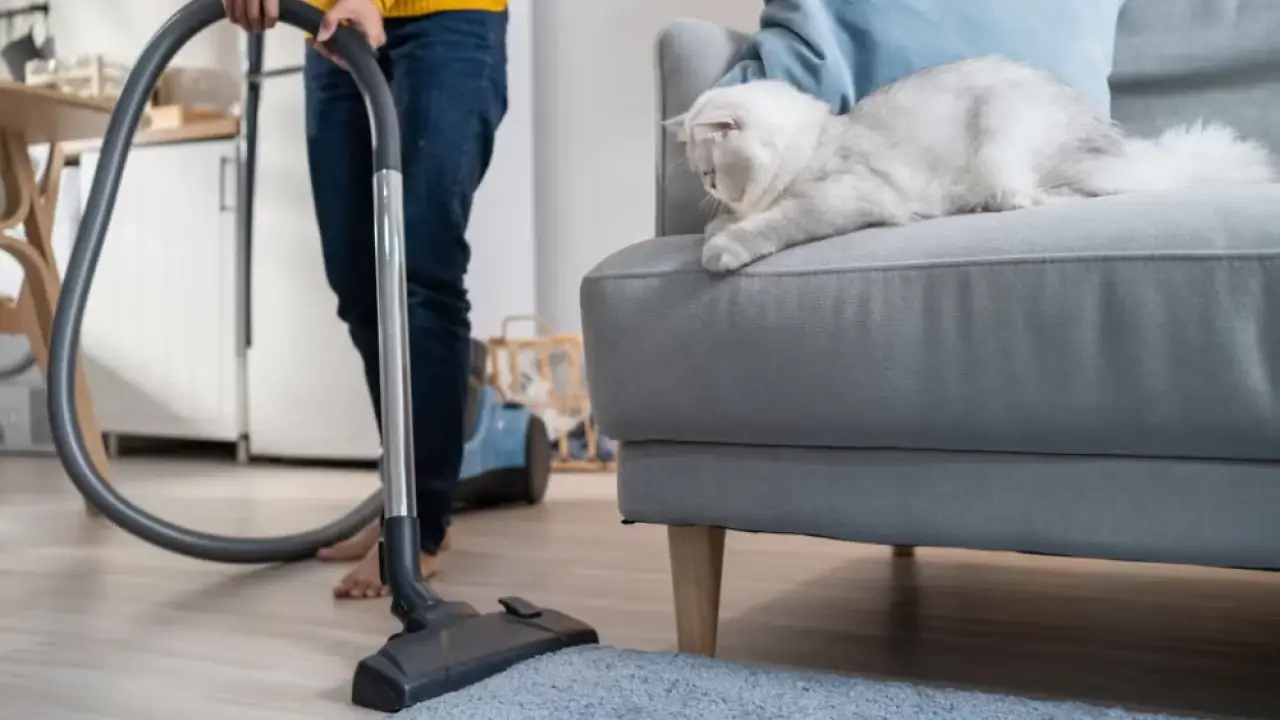 رائحة المكنسة الكريهة.. حيلة ذكية تنهي الأزمة للأبد وتجعل منزلك يفوح عطراً