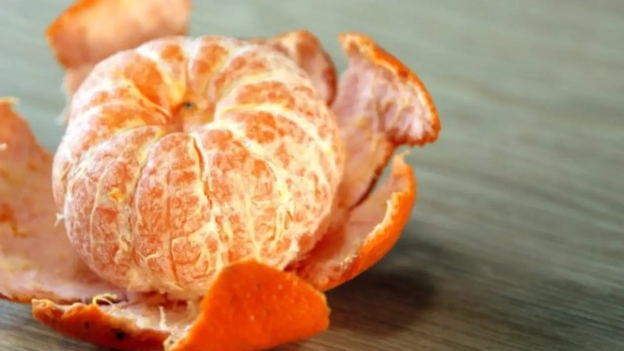 كنز في مطبخك.. سر استخدام قشر اليوسفي ينهي أزمة منزلية تؤرق الملايين