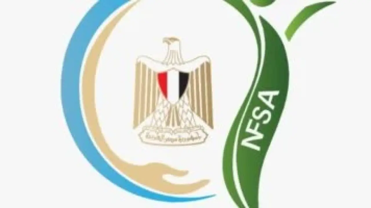 215 ألف طن.. قفزة هائلة في صادرات الغذاء المصرية تثير دهشة الأسواق العالمية