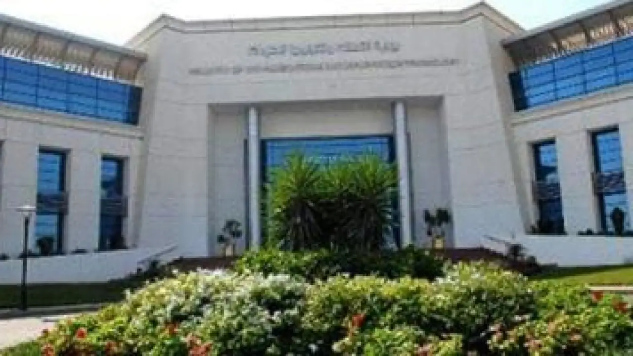 أرقام الشركات المختصرة.. مزاد مرتقب يثير حيرة المستثمرين حول أسعار البيع المتوقعة