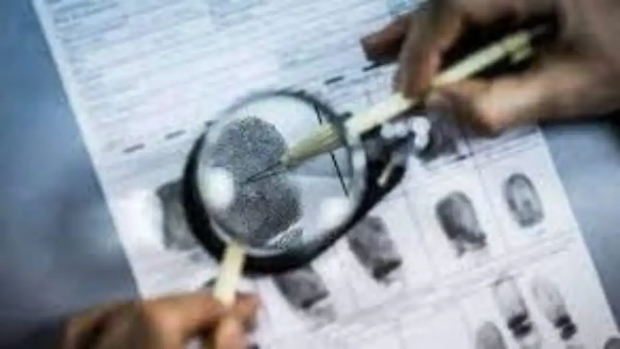 الحبس سنتين.. حالات قانونية صادمة تنتهي خلف القضبان بسبب خطأ في الأوراق الرسمية