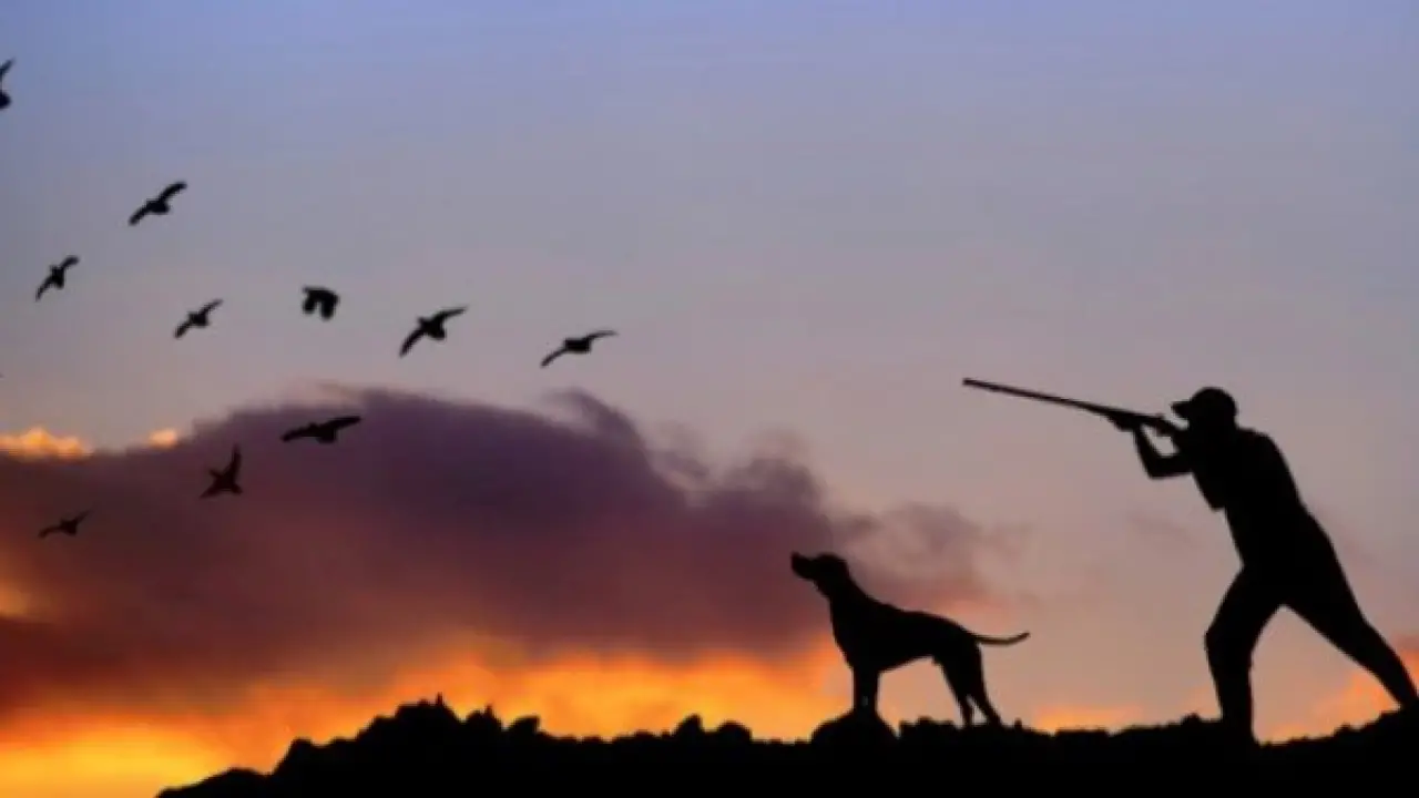 فتوى حاسمة.. الإفتاء تنهي الجدل حول تناول صيد البندقية وتفاجئ الجميع بالرد