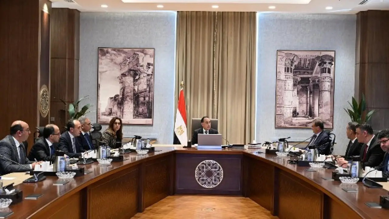 إجراءات التعامل مع الحيوانات الضالة والمتروكة.. تحصين 121 ألف كلب وتعقيم 8311