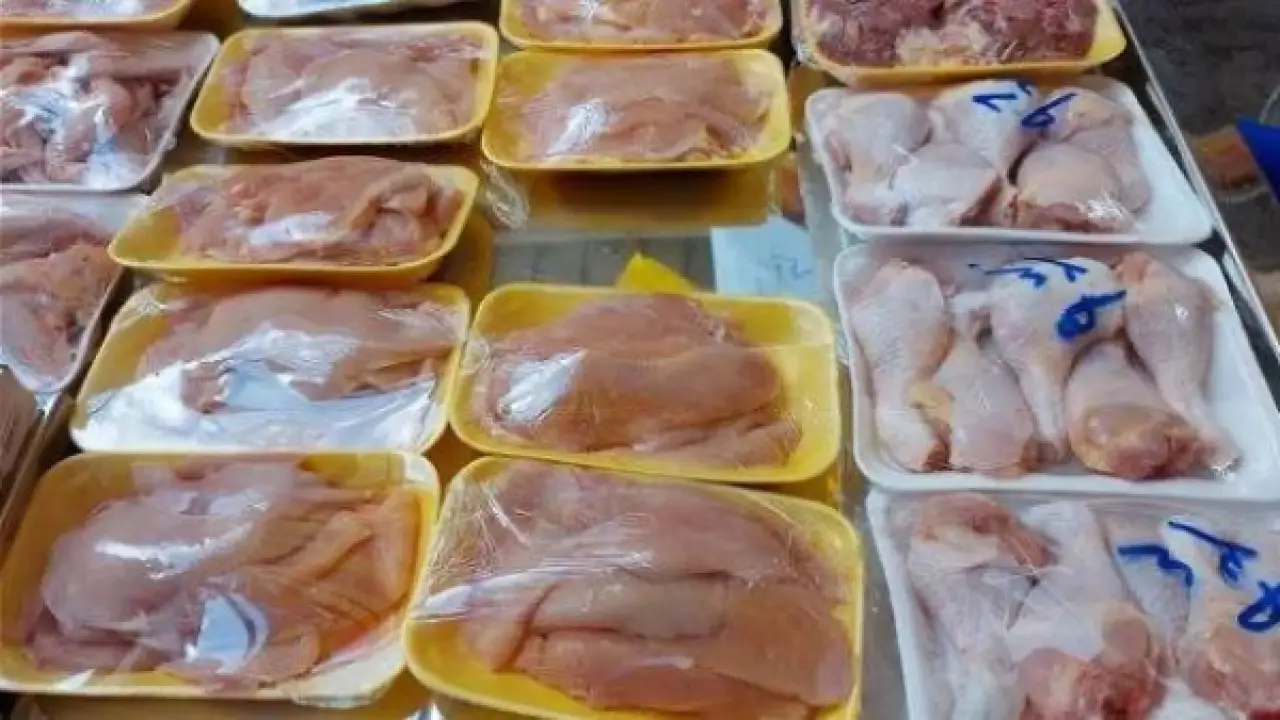 البانيه ينخفض لـ180 جنيها.. أسعار الفراخ اليوم