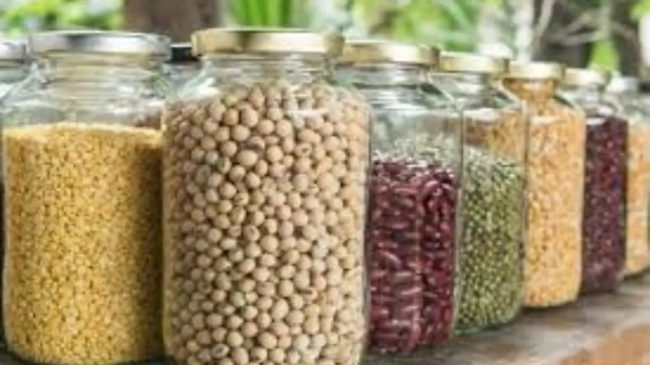 تحذير في كل مطبخ.. أخطاء تخزين البقوليات تهدد بكارثة صحية غير متوقعة