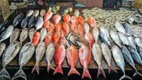 أسعار الأسماك في سوق العبور اليوم 25 نوفمبر 2025: استقرار وتفاوت محدود في الأسعار