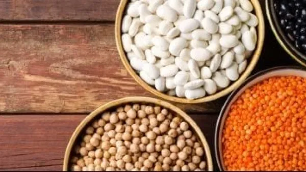 أسعار البقوليات بكفر الشيخ: تراجع ملحوظ في سعر الفول واستقرار باقي الأصناف