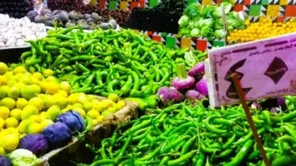أسعار الخضار والفاكهة في المنوفية: انخفاض جديد يريح ميزانية الأسرة اليوم