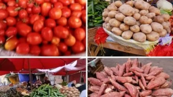 أسعار الخضراوات بأسواق الإسكندرية.. استقرار يمنح المستهلك فرصة لالتقاط الأنفاس